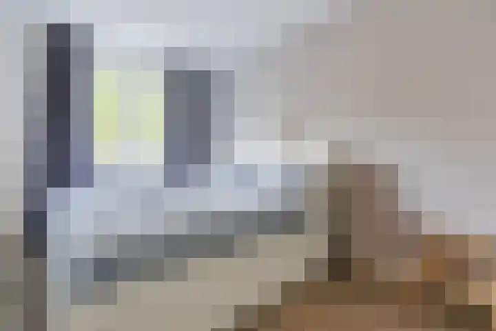 Brasem 1 Nieuwleusen thumbnail 21