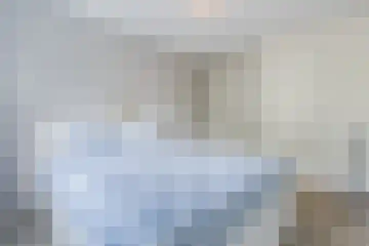 Brasem 1 Nieuwleusen thumbnail 22