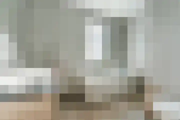 Brasem 1 Nieuwleusen thumbnail 23