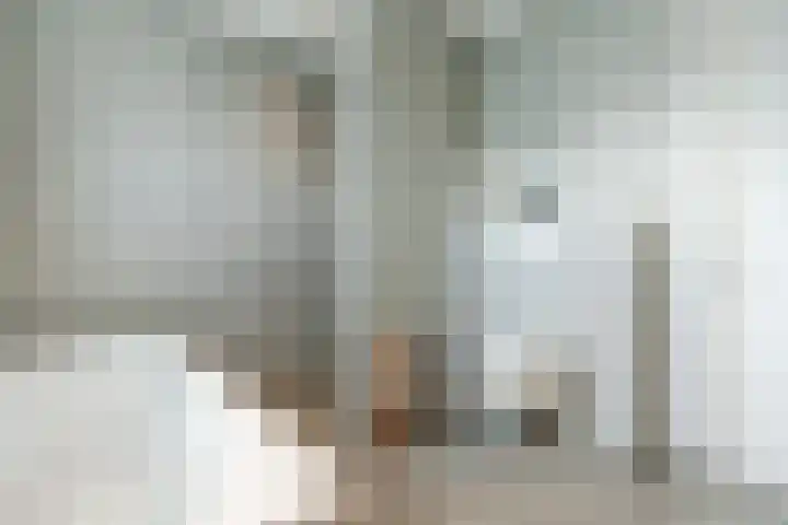 Brasem 1 Nieuwleusen thumbnail 24