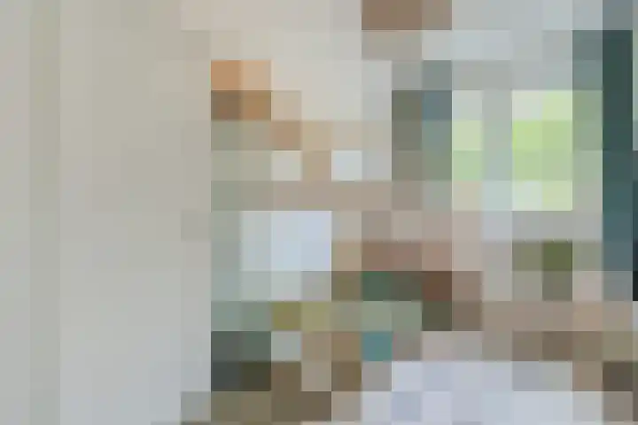 Brasem 1 Nieuwleusen thumbnail 27