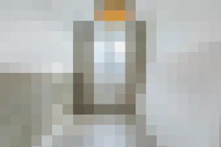 Brasem 1 Nieuwleusen thumbnail 28