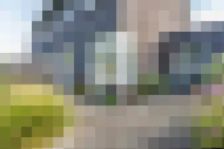 Brasem 1 Nieuwleusen foto 3