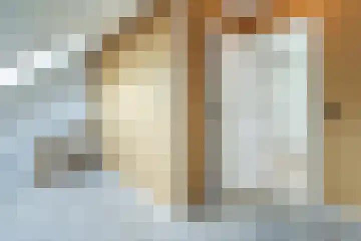 Brasem 1 Nieuwleusen thumbnail 32