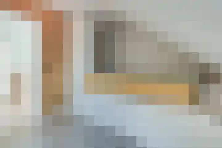 Brasem 1 Nieuwleusen thumbnail 33