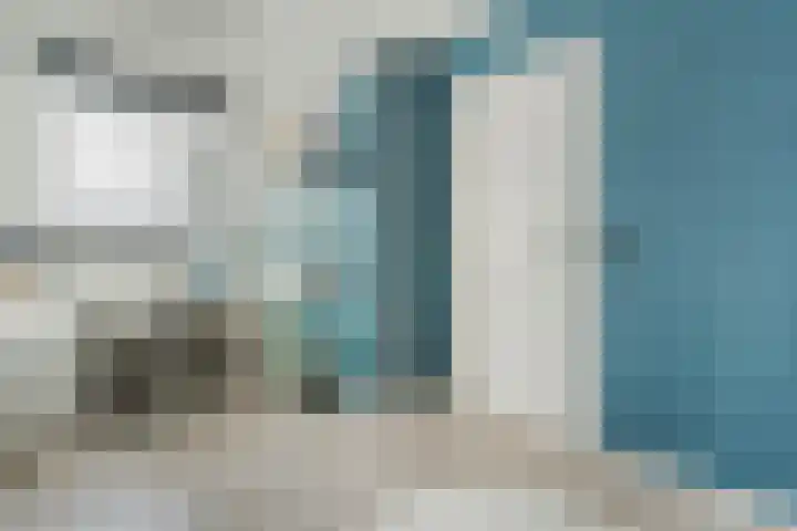 Brasem 1 Nieuwleusen thumbnail 34