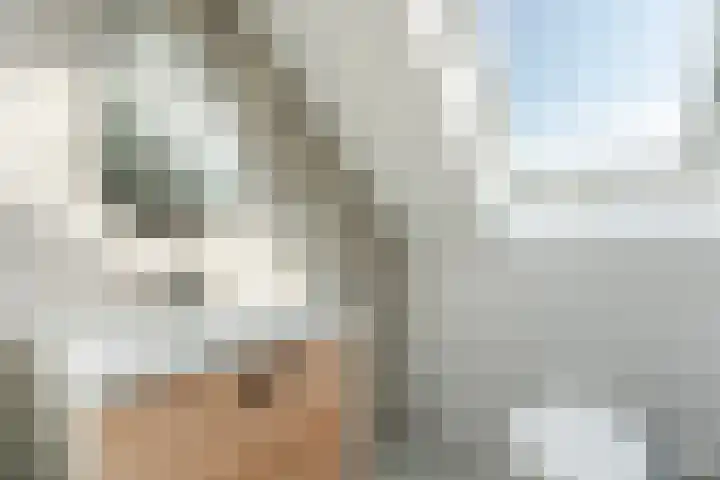 Brasem 1 Nieuwleusen thumbnail 36