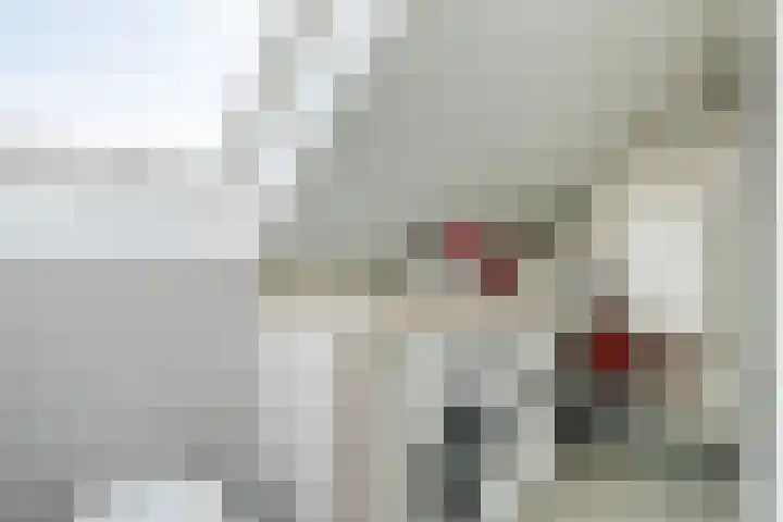 Brasem 1 Nieuwleusen thumbnail 37