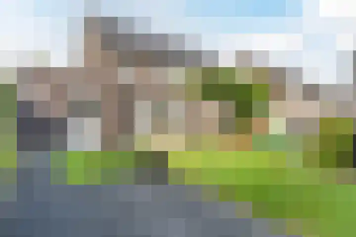Brasem 1 Nieuwleusen thumbnail 39