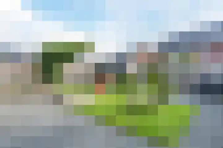 Brasem 1 Nieuwleusen thumbnail 40