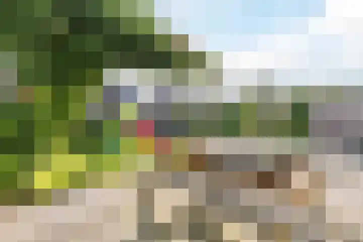 Brasem 1 Nieuwleusen thumbnail 42