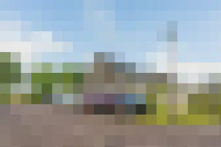 Brasem 1 Nieuwleusen thumbnail 45