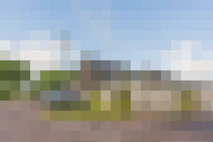 Brasem 1 Nieuwleusen thumbnail 46