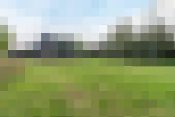 Brasem 1 Nieuwleusen thumbnail 47