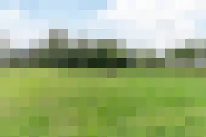 Brasem 1 Nieuwleusen thumbnail 48