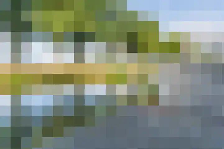 Brasem 1 Nieuwleusen thumbnail 5