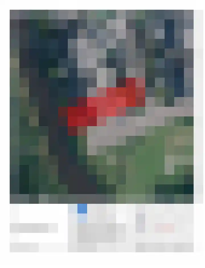 Brasem 1 Nieuwleusen thumbnail 51