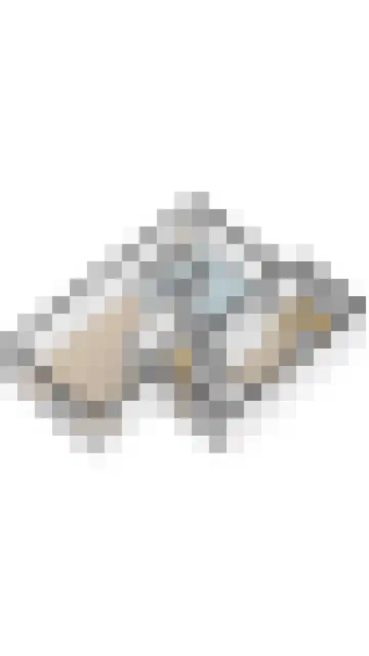 Brasem 1 Nieuwleusen thumbnail 53