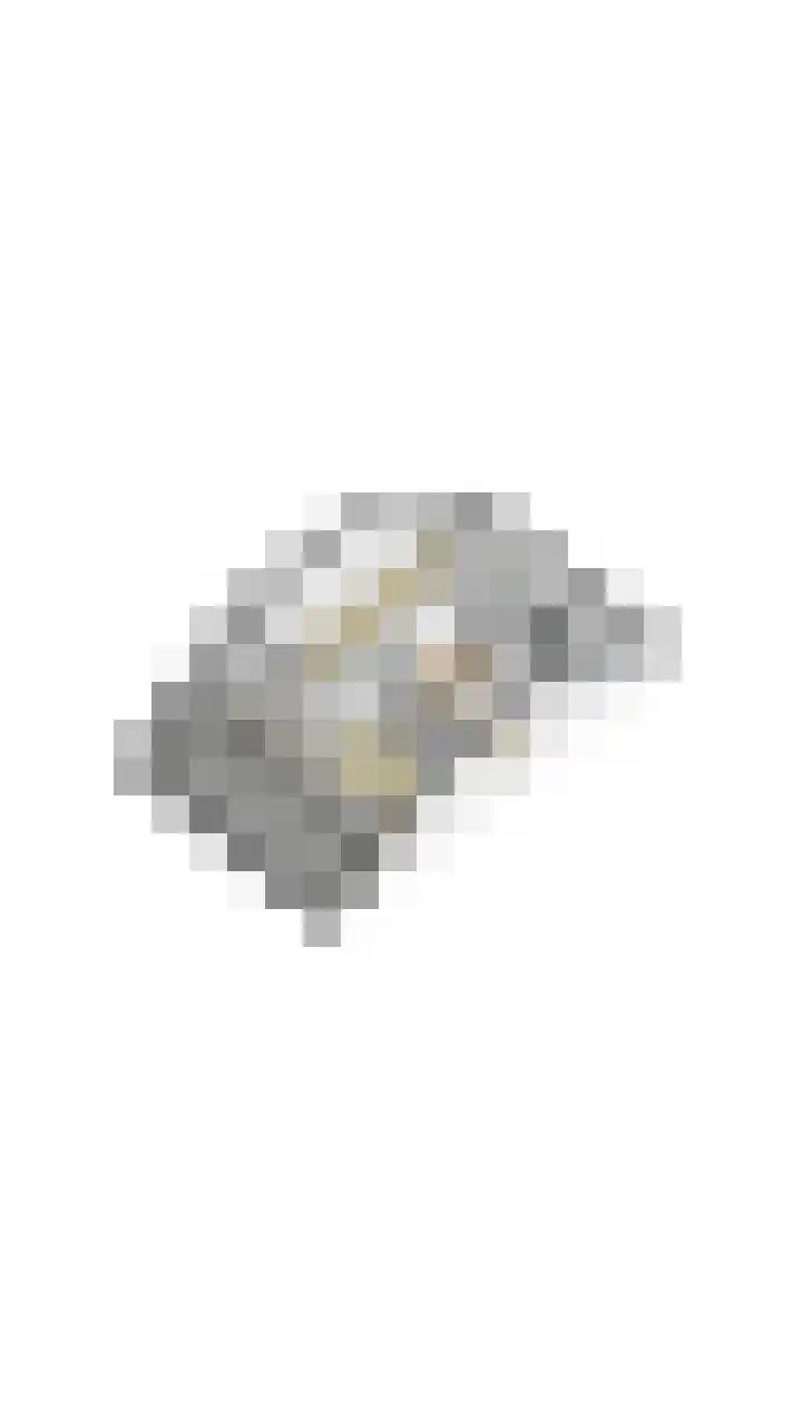 Brasem 1 Nieuwleusen thumbnail 57
