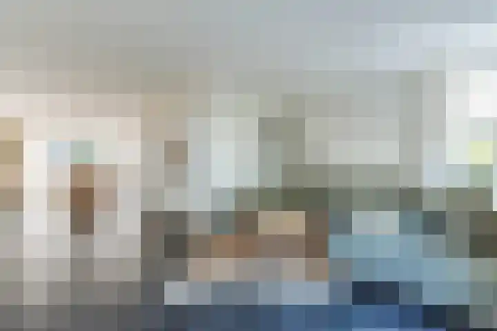 Brasem 1 Nieuwleusen thumbnail 8
