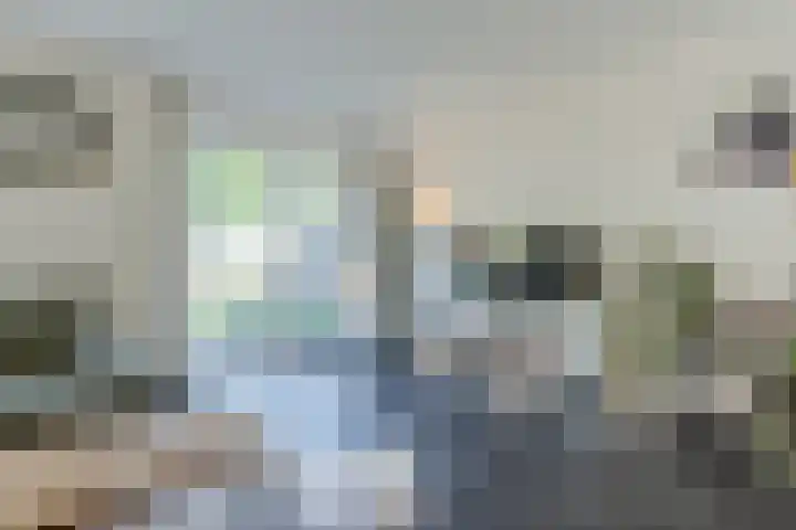 Brasem 1 Nieuwleusen thumbnail 9
