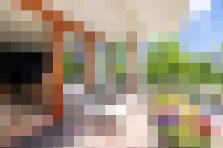 Brasem 108 Doetinchem thumbnail 10