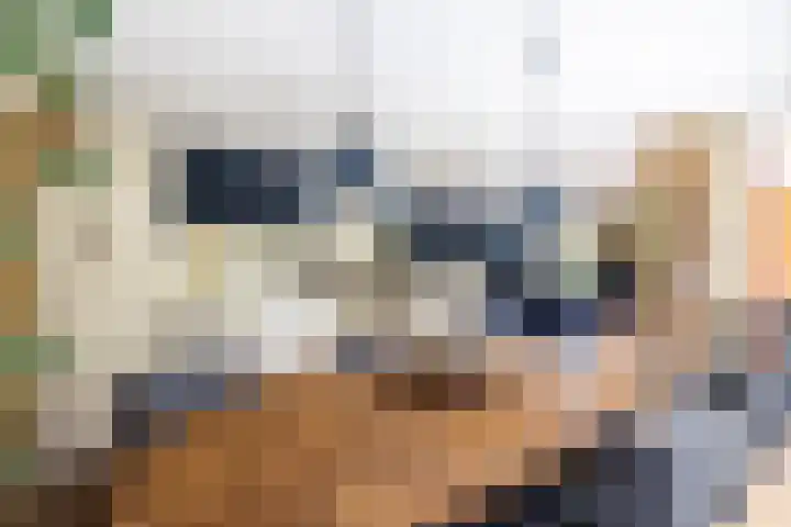 Brasem 108 Doetinchem thumbnail 13
