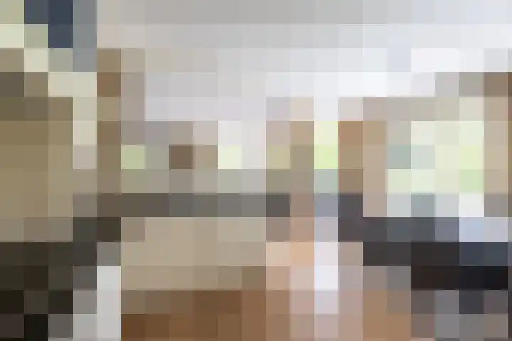Brasem 108 Doetinchem thumbnail 15