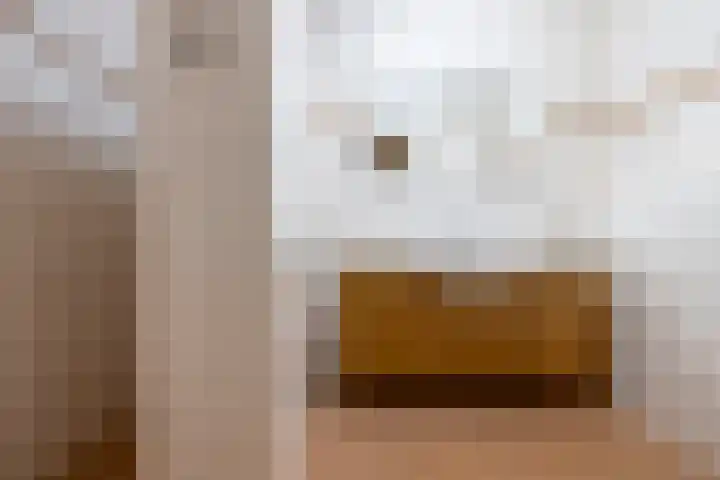 Brasem 108 Doetinchem thumbnail 27