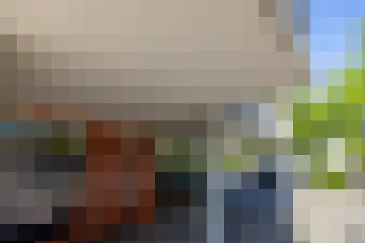 Brasem 108 Doetinchem thumbnail 35
