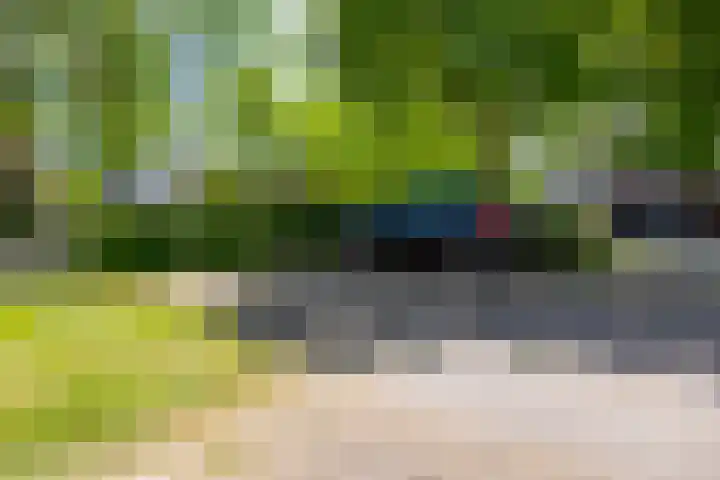Brasem 108 Doetinchem thumbnail 38