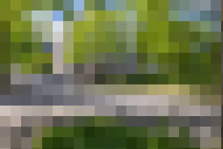 Brasem 108 Doetinchem thumbnail 39