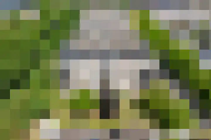 Brasem 108 Doetinchem thumbnail 43