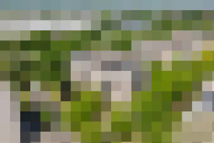 Brasem 108 Doetinchem thumbnail 44
