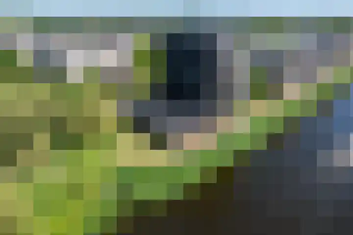 Brasem 108 Doetinchem thumbnail 46