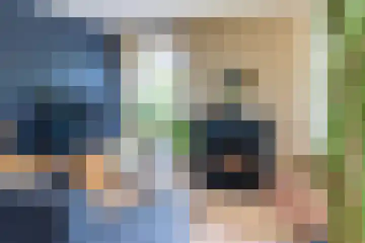 Brasem 108 Doetinchem thumbnail 5