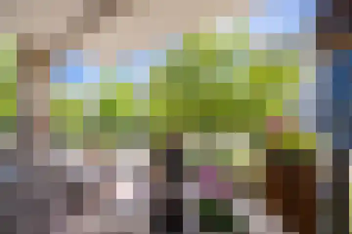 Brasem 108 Doetinchem thumbnail 8