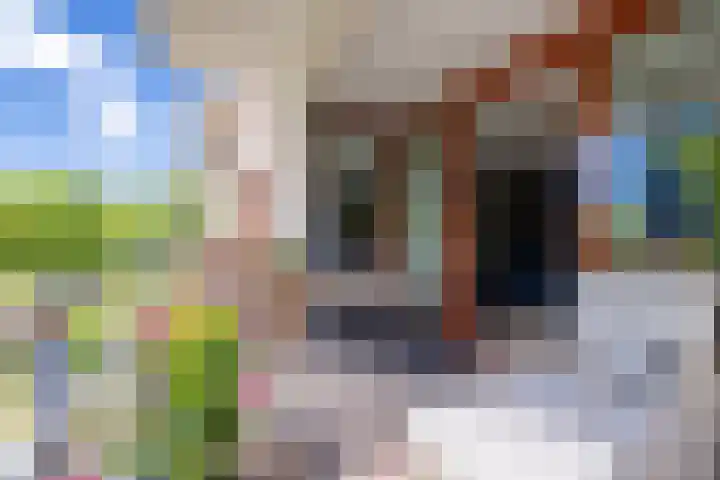 Brasem 108 Doetinchem thumbnail 9