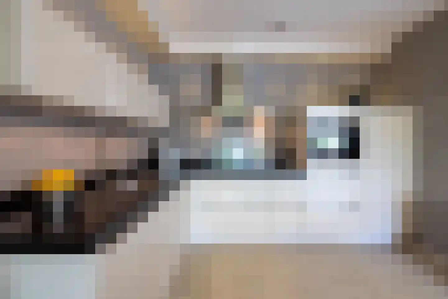 Brasem 110 Doetinchem thumbnail 10