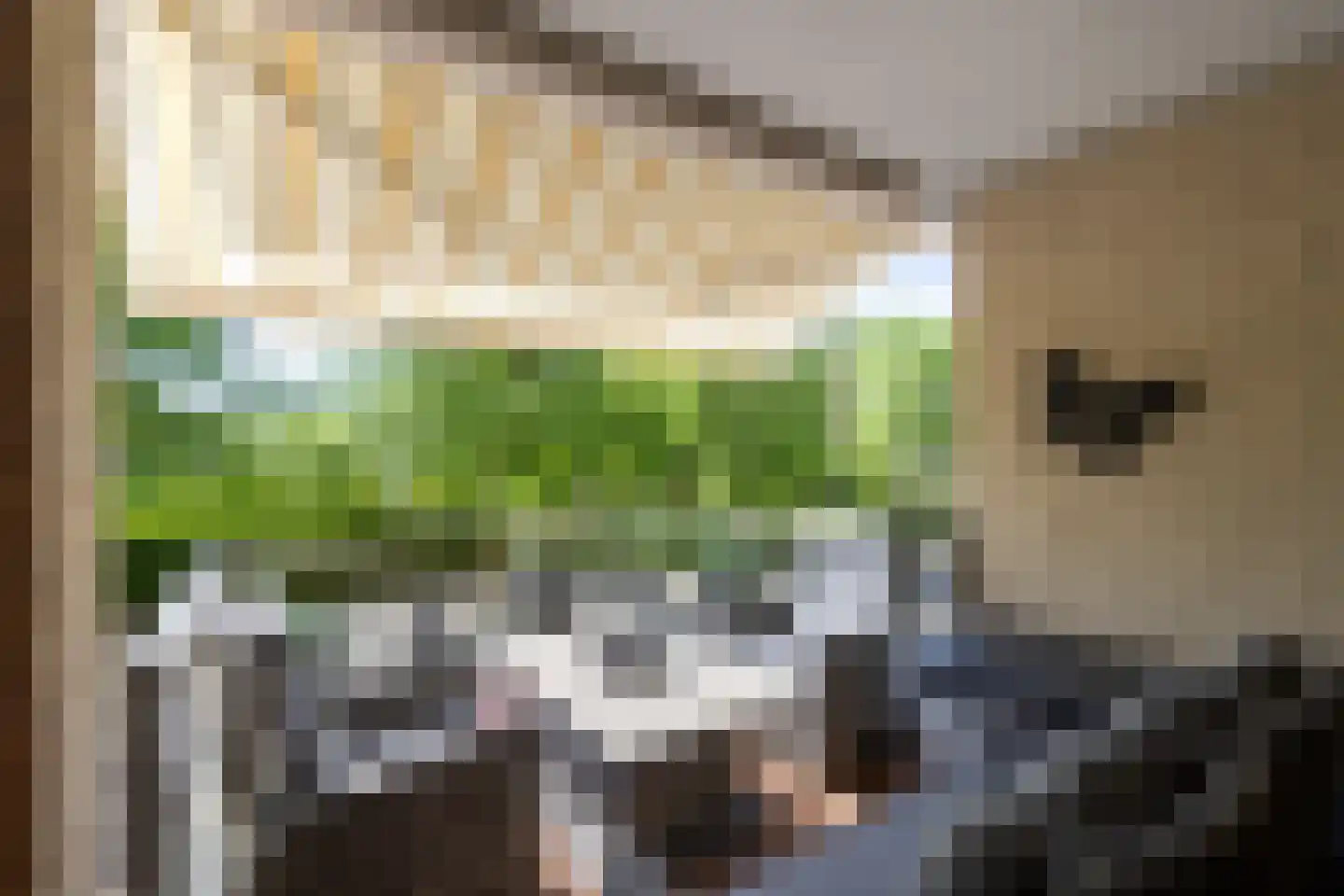 Brasem 110 Doetinchem thumbnail 15