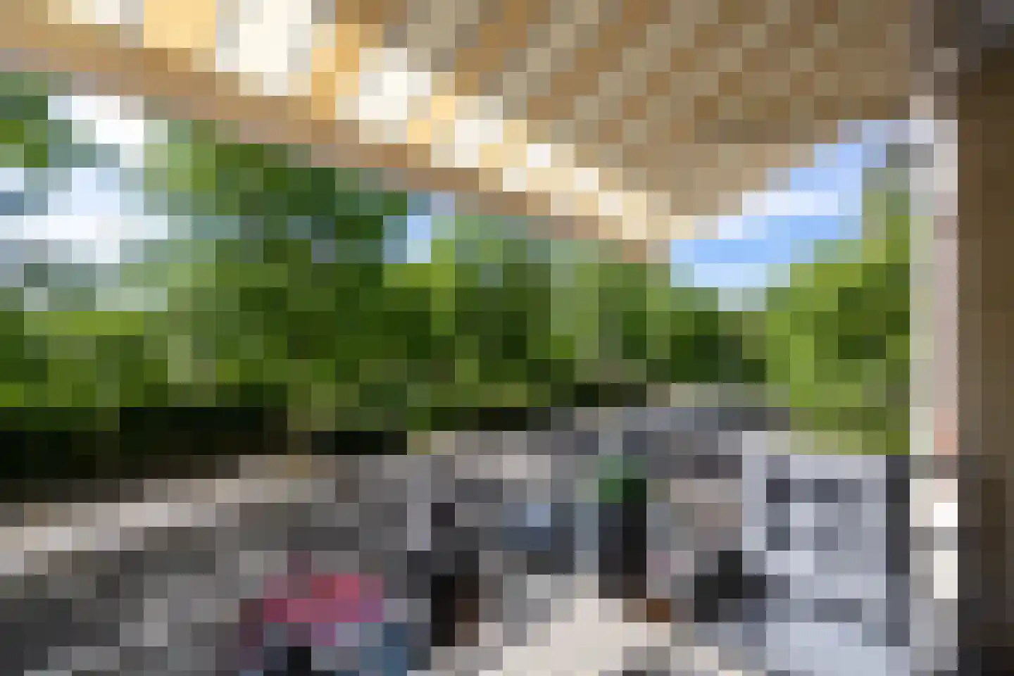 Brasem 110 Doetinchem thumbnail 16