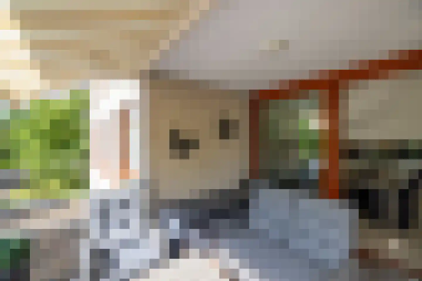 Brasem 110 Doetinchem thumbnail 17