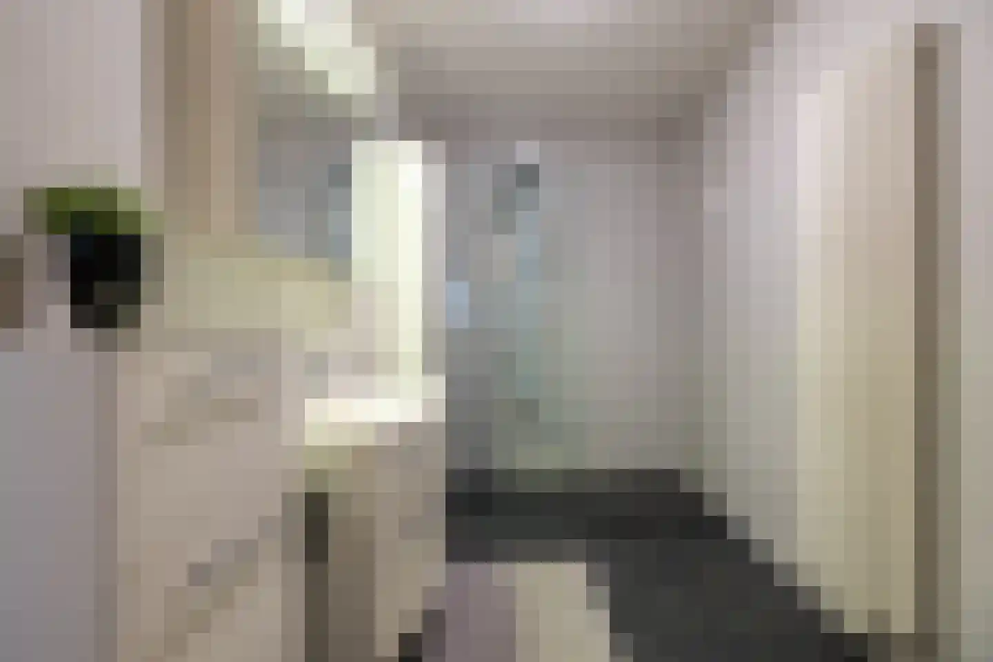 Brasem 110 Doetinchem thumbnail 27