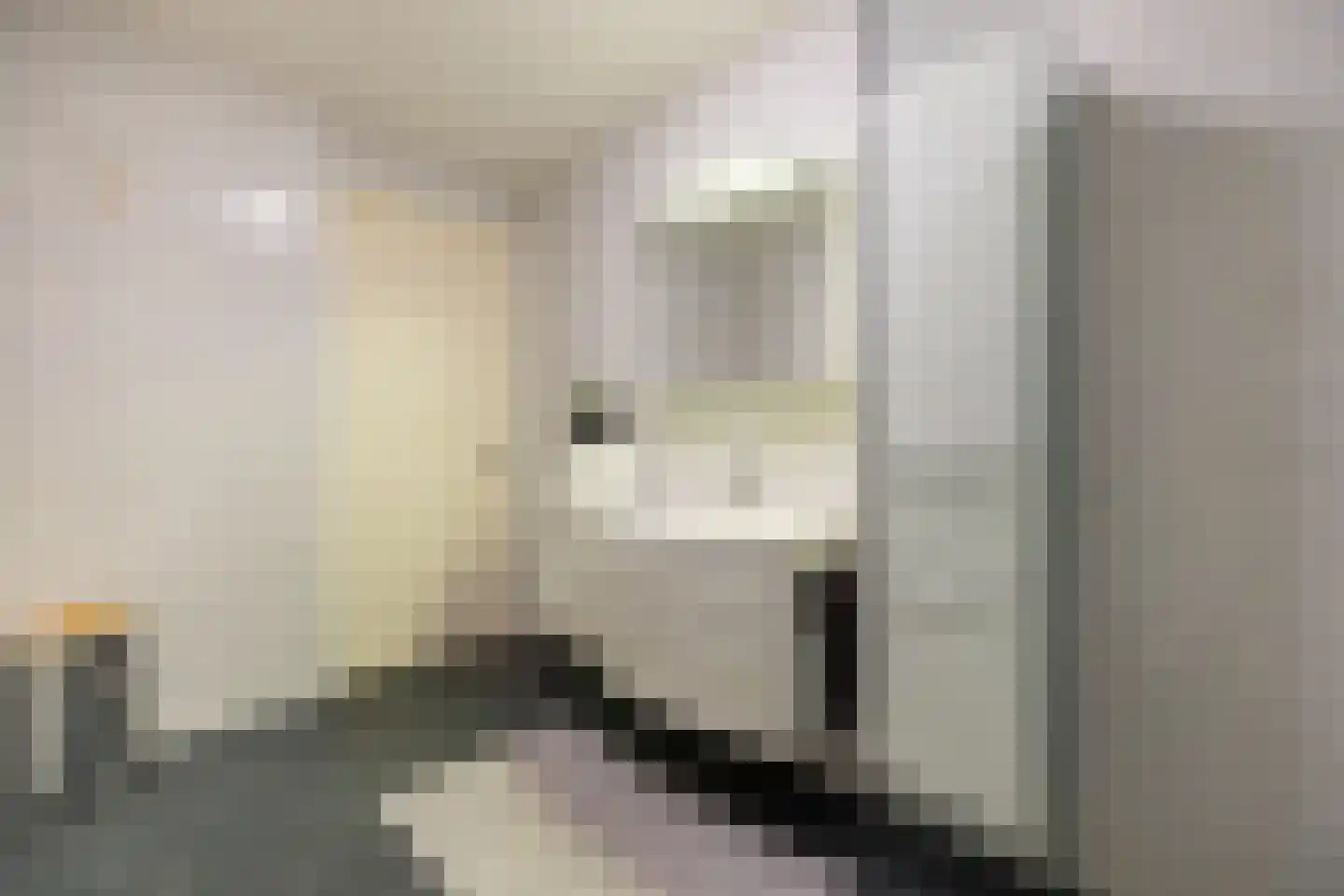 Brasem 110 Doetinchem thumbnail 29