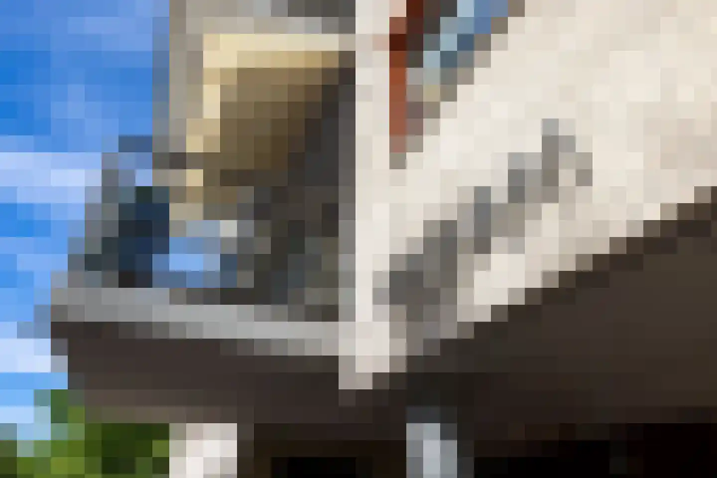 Brasem 110 Doetinchem thumbnail 36