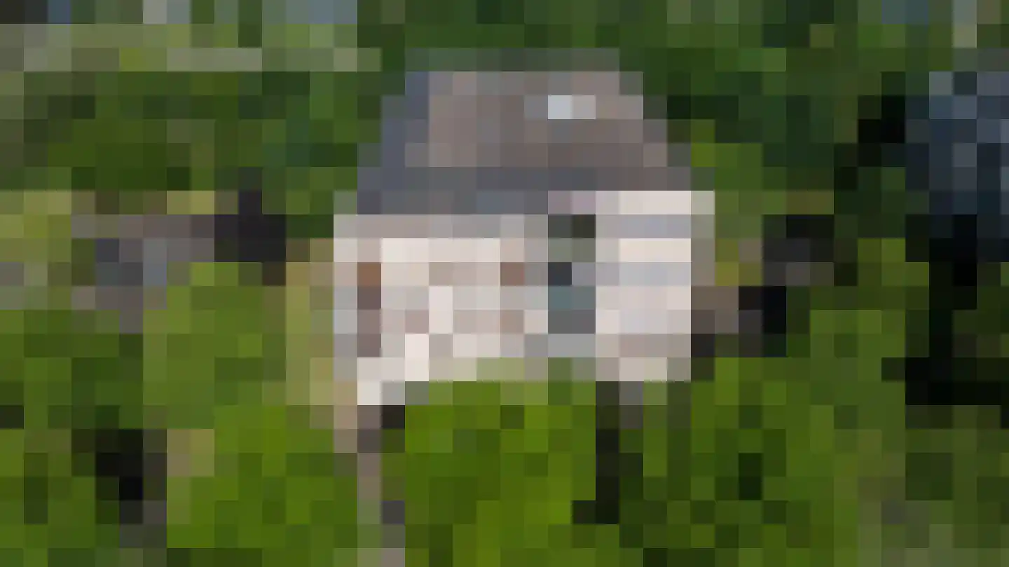 Brasem 110 Doetinchem thumbnail 40