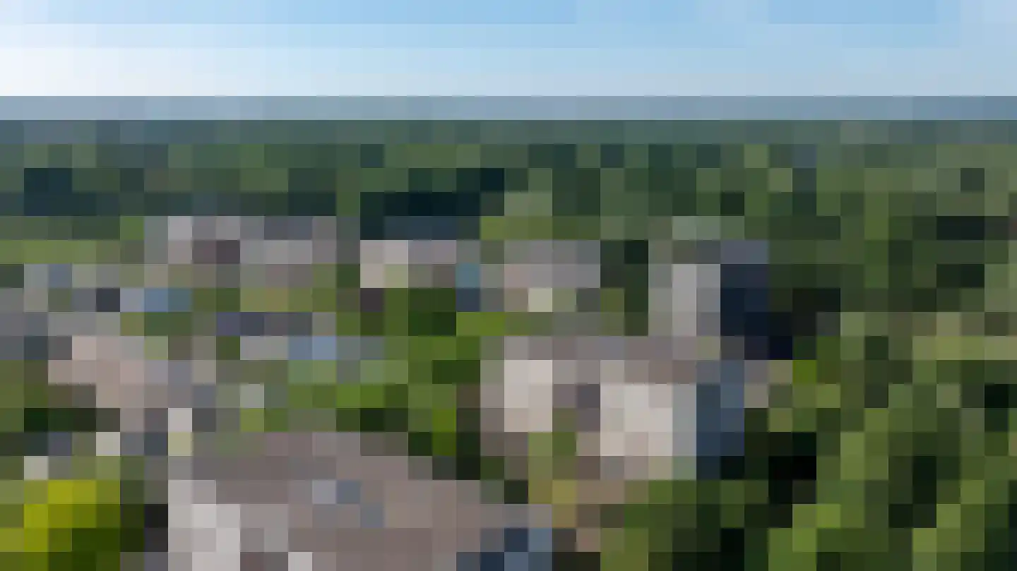 Brasem 110 Doetinchem thumbnail 41