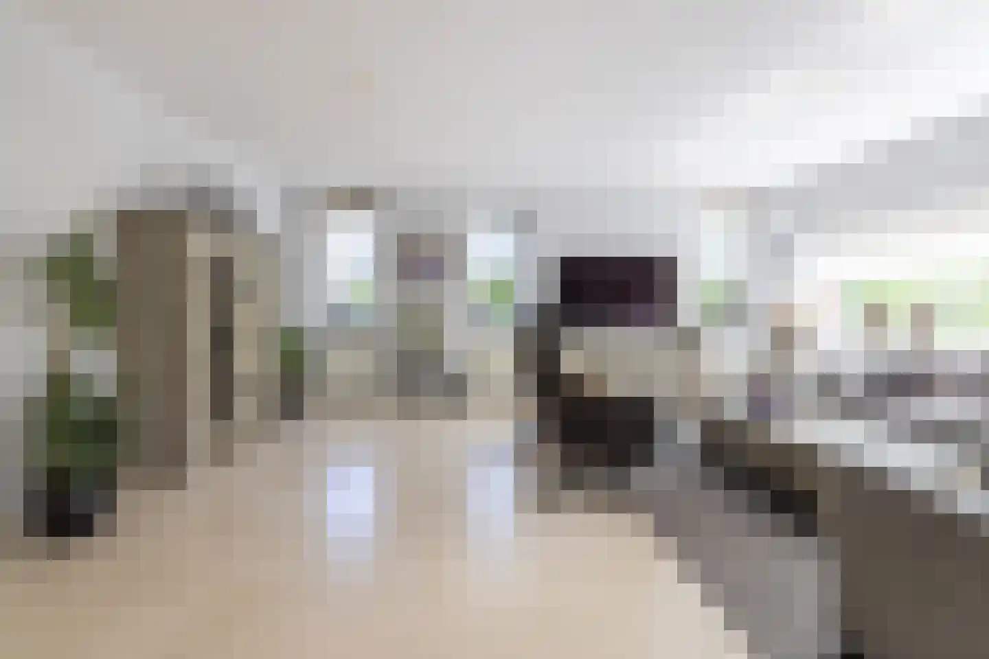 Brasem 110 Doetinchem thumbnail 5