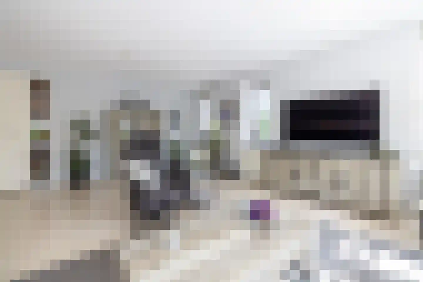 Brasem 110 Doetinchem thumbnail 6