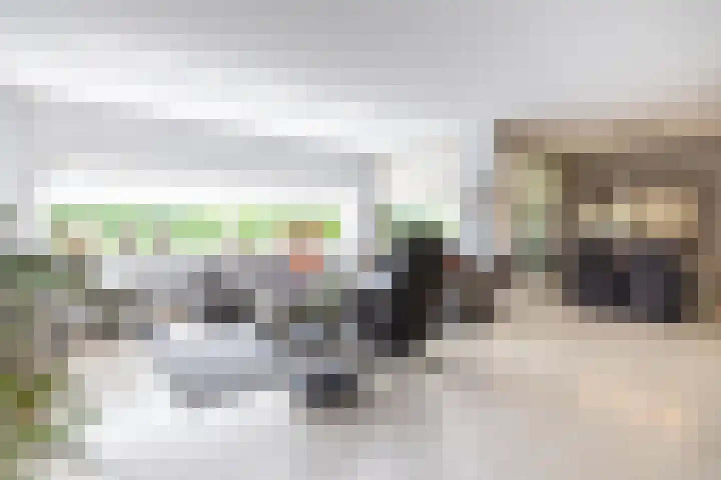 Brasem 110 Doetinchem thumbnail 7